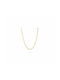 Radiant Chain Neck Gold-plated