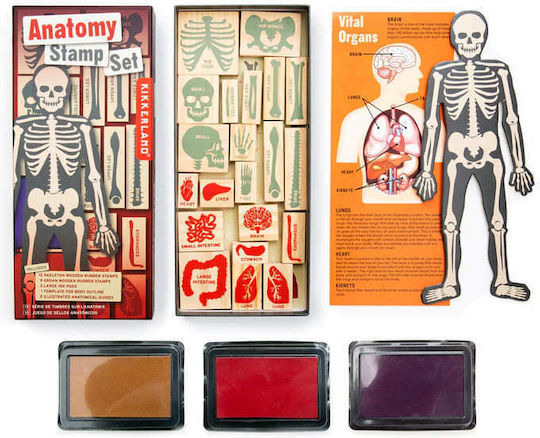 Kikkerland Σφραγίδες Anatomy Stamp για Παιδιά 3+ Ετών 21τμχ