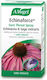 A.Vogel Echinaforce Spray για Παραγωγικό Βήχα Εχινάκεια 30ml