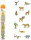 Safari Desert Desert Animals