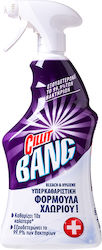 Cillit Bang Flüssigbleiche 750ml