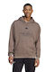 adidas Sweatshirt Brown