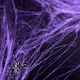 Purple Spider Web 60g