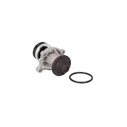 Water Pump Bmw 3 Series Coupe E36 Airtex 1369 Water Pump Bmw 3 Series Coupe E36 Airtex 1369