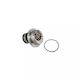 Water Pump Opel Vectra B Combi 31 Airtex 1446