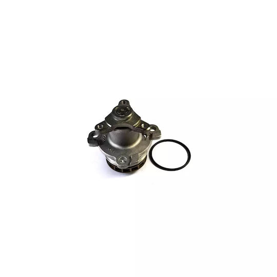 Wasserpumpe Vw Phaeton 3d Airtex 1796