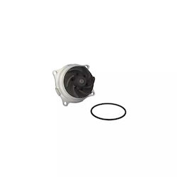 Water Pump Ford Tourneo Connect Airtex 4115