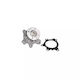 Water Pump Toyota Corolla Cde12 Zze12 Nde12 Zde12 Airtex 1850