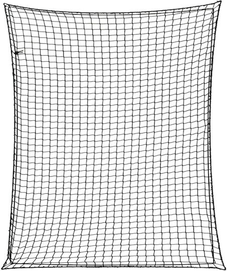 vidaXL Δίχτυ Αποσκευών Αυτοκινήτου 250x250cm Μαύρο