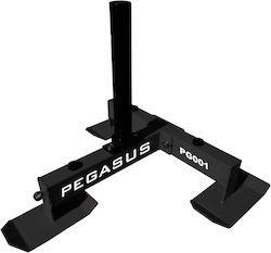 Pegasus Sanie de putere 10.3kg