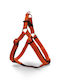 Pet Interest Нагръдник за куче Оранжев Large 8209