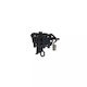 Hyundai Elantra Xd Denso Dic0113 Induktionsrolle