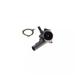 Water Pump Ford Escort '91 Express Avl Airtex 1404