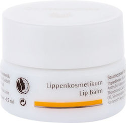Dr. Hauschka Scrub Χειλιών 4.5ml Dr. Hauschka Scrub Χειλιών 4.5ml