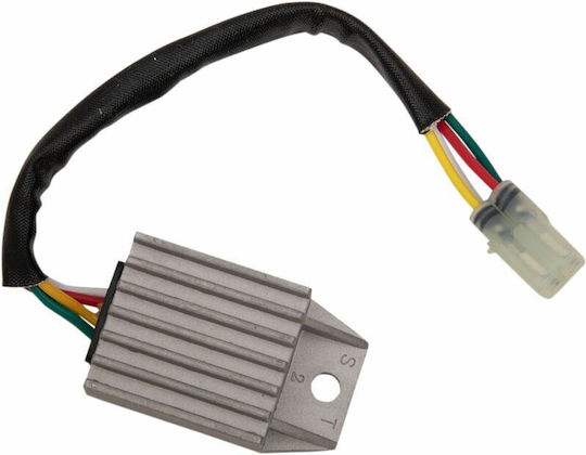 Ricks Motorsport Electric Regulator Rectifier Motocicletă pentru Honda CRF 250 10-166
