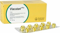 Boehringer Ingelheim Viacutan Plus for Dogs and Cats in Syrup 40caps,tobolek for Skin & Hair