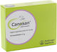 Canosan Multivitamine pentru câini sub formă de pastile