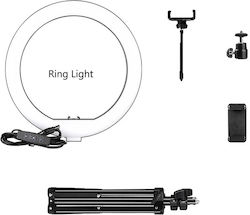 Ring Ring Light 25.4cm 6151009958947