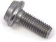 Akrapovic Motorcycle Bolts 1pcs