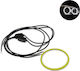 Externe Dekorative Autobeuchtung LED-COB-Leuchtring / Angel Eye für Auto Motorrad 1 Stück kaltweiß 12V 80mm Weiß Farbe