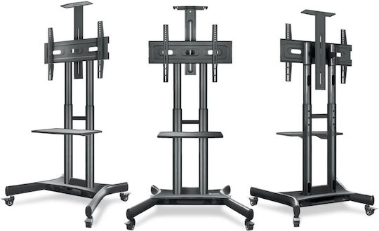 Onkron TV Mount Floor up to 70" and 45kg Black