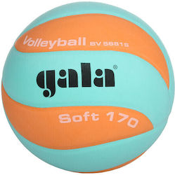 Gala Minge de volei Nr.5