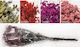 Floare de cristal 60cm Salmon 1 bucățică