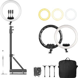 Ring Ring Light 45.72cm 6151124215222