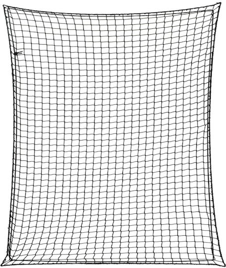 vidaXL Δίχτυ Αποσκευών Αυτοκινήτου 300x300cm Μαύρο