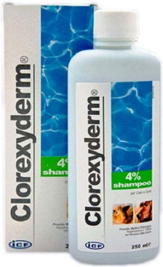 Icf Shampoo Dog 25gr