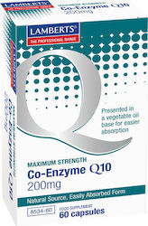 Lamberts Co-Enzym Q10 200 mg 60 Kapseln
