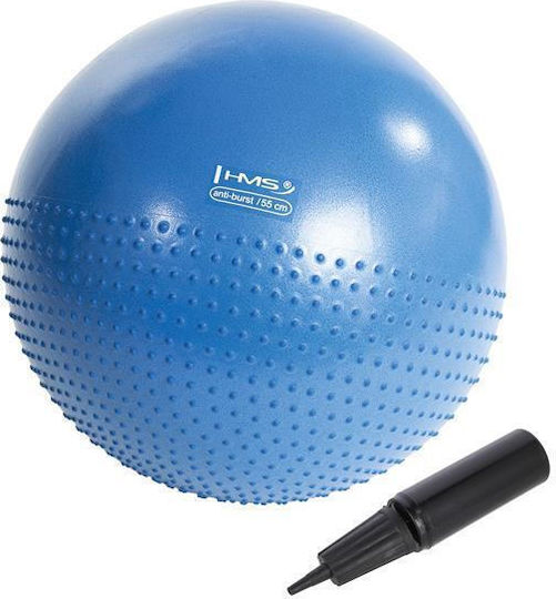 Abisal Ball Massage 55cm in Blue Color
