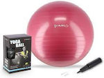 Abisal Exercise Ball Pilates 65cm