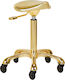 Activeshop Scaun