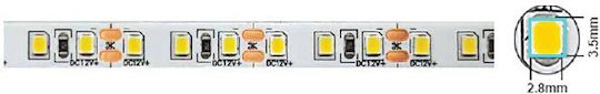 Vito LED Strip 12V Warm White Light 5m Type SMD2835