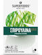 Superfoods Gold 300mg Spirulina 180 tabs