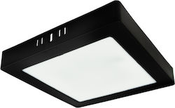 Eco Light Προβολέας 18W 4000K