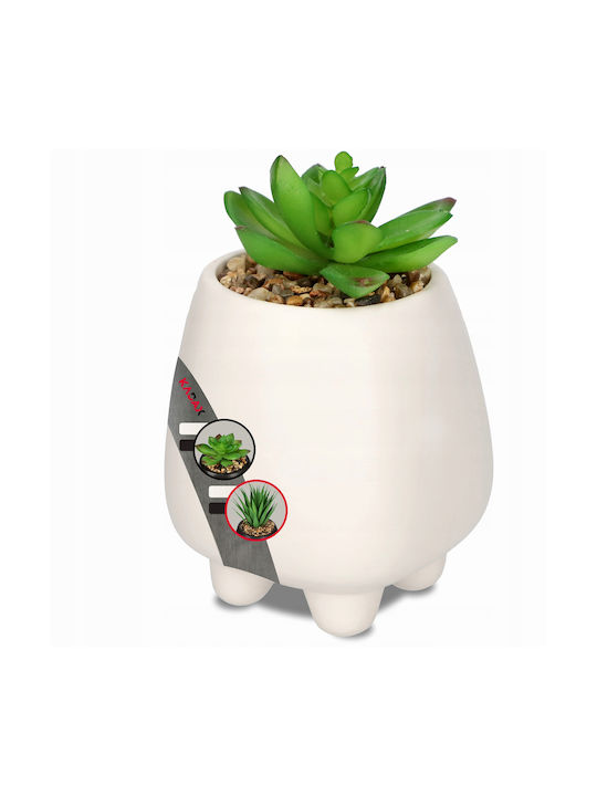 Plantă Artificială în Ghiveci Mic Planta suculentă White 10.5cm Kadax
