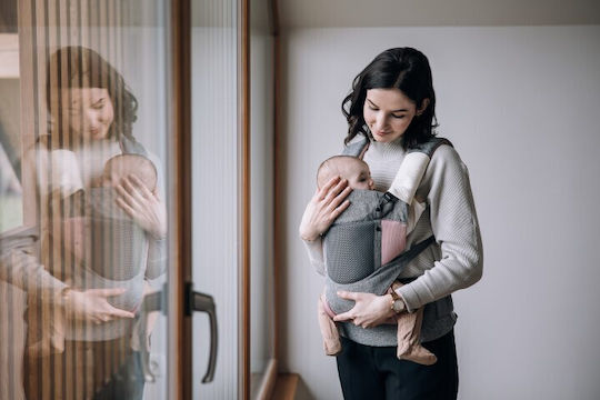 FreeOn Classic Carrier Pink with Maximum Weight 15kg 82030