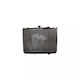 Radiator de apă Kia Carens II FJ Ava Quality Cooling K2072
