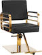 Gabbiano Hairdressing Chair Avila Gold Black