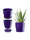 Kadax Plastic Flower Pot with Saucer 20cm Purple