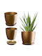 Kadax Plastic Pot Saucer 14cm Gold Flowers