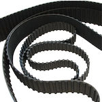 Car Engine Belt 31-S8M600/50