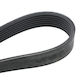 Continental Ιμάντας Κινητήρα Αυτοκινήτου για BMW E39 / F10 / X5 / E53 Honda Accord / CR-V Land Rover Range Rover 31-7K1635C