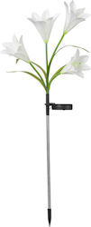 Solar Led Flower Tip Luminaire 4 Flowers 80 Cm Height Garden Flippy Solar Led Flower Tip Luminaire 4 Flowers 80 Cm Height Garden Flippy