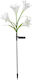 Solar Led Flower Tip Luminaire 4 Flowers 80 Cm Height Garden Flippy