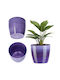Kadax Pot Plastic 14x14cm.