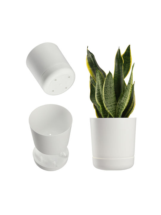 Kadax Flower Pot in White Color 31491