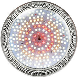 Led Grow Light Full Spectrum Plant Lighting Full Spetrum